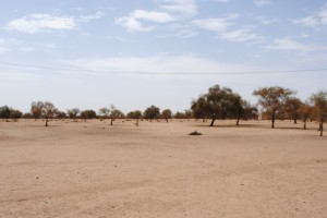 The Fouta landscape