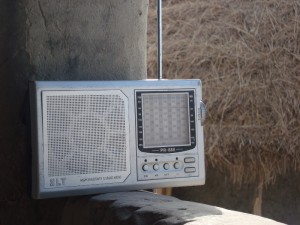 radio (800x600)
