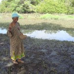 Mariama Barry plants rice in her field before a social mobilization meeting in her village of Sare Nemang.
