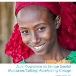 thumbnail of UNICEF-UNFPA_Joint_Programme_AR_final_v14