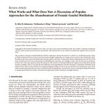 thumbnail of What_Works_Discussion_Approaches_Abandonment_FGM