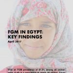 thumbnail of egypt_country_profile_key_findings_v2_(november_2017)_english_(2)