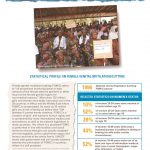 thumbnail of fgmc_burkina_faso_unicef_2013