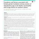 thumbnail of ghana_research_doc_2018