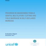 thumbnail of 2013_09_24_08_09_26_Ethiopia_FGM_Final