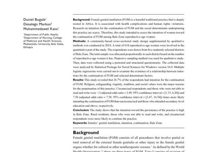 thumbnail of ijwh-7-085