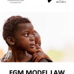 thumbnail of model_law_v1_(march_2020)
