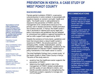 thumbnail of 2020RH_FGMC-DiagnosticAssessmentKenya