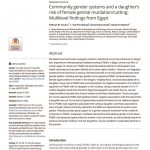 thumbnail of Community gender systems and a daughter’s risk of FGMC Egypt